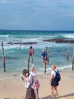Traditional Stilt Fishing