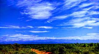 Safari Trails