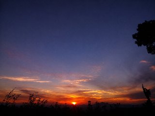 Golden Horizon